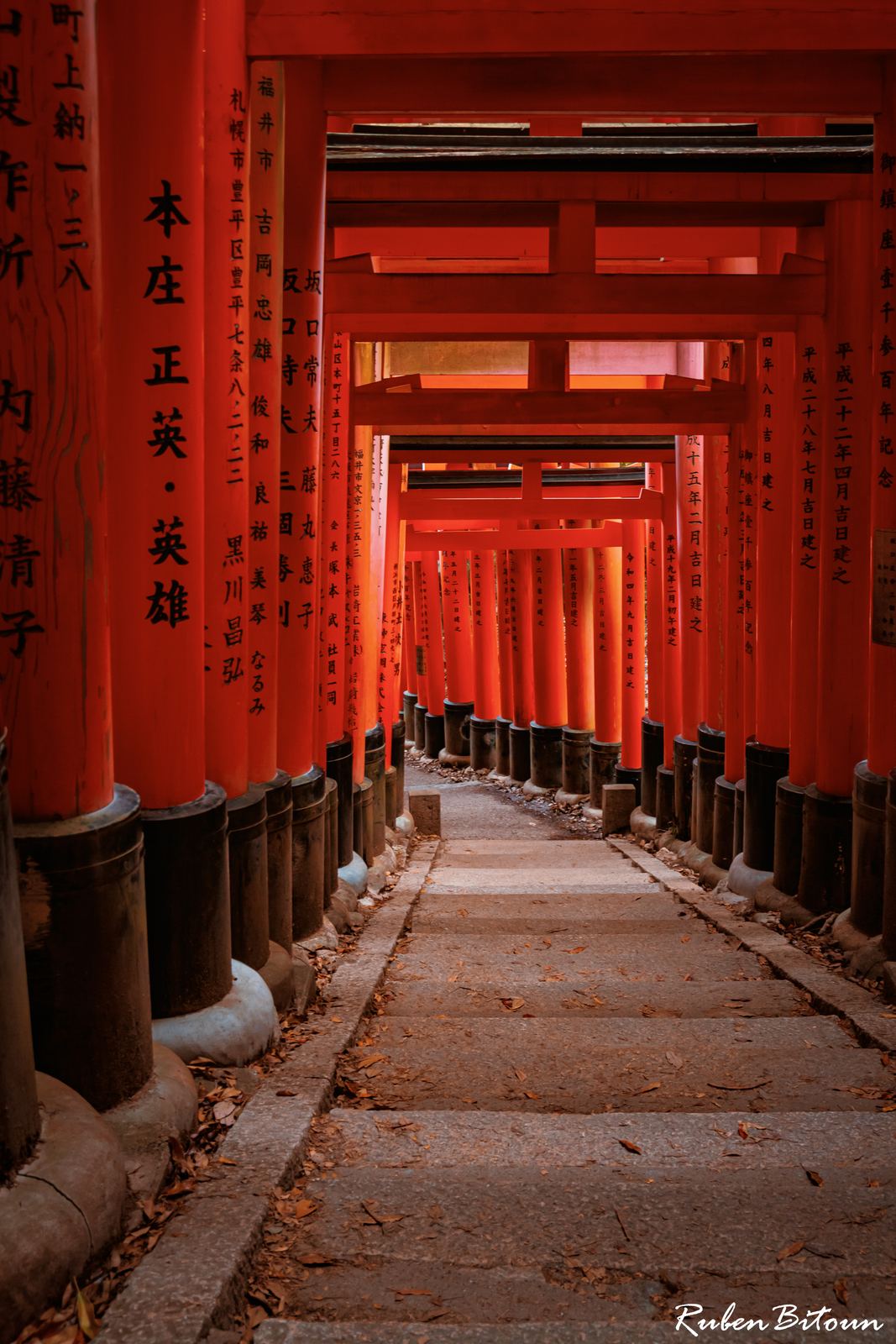 Fushimi Inari — allée de torii